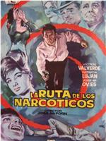 La ruta de los narcóticos在线观看