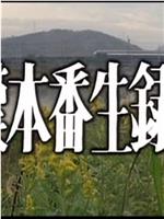 痴漢本番生録旅行在线观看