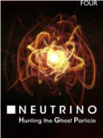 Neutrino: Hunting the Ghost Particle