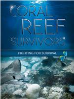 Coral Reef Survivors