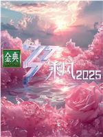 乘风2025