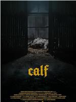 Calf在线观看