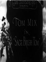 Sage Brush Tom