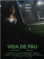 Vida de Pau