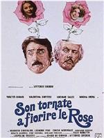 Son tornate a fiorire le rose