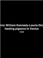 Inventor William Kennedy-Laurie Dickson Feeding Pigeons in Venice