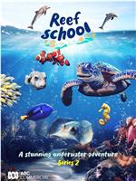 珊瑚学院 第二季在线观看