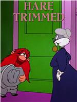 Hare Trimmed在线观看