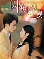 闪婚小孕妻