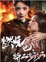 燃烧吧特工妈妈