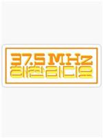 37.5MHz 楷灿 Radio