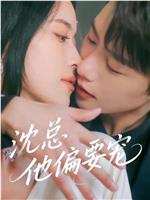 沈总他偏要宠在线观看